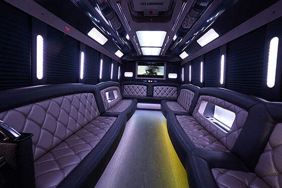 Inside Limousine 28 passenger