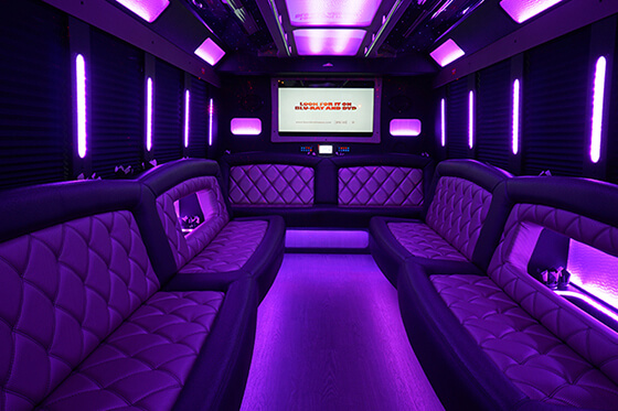 Inside Limo Service Photo 1