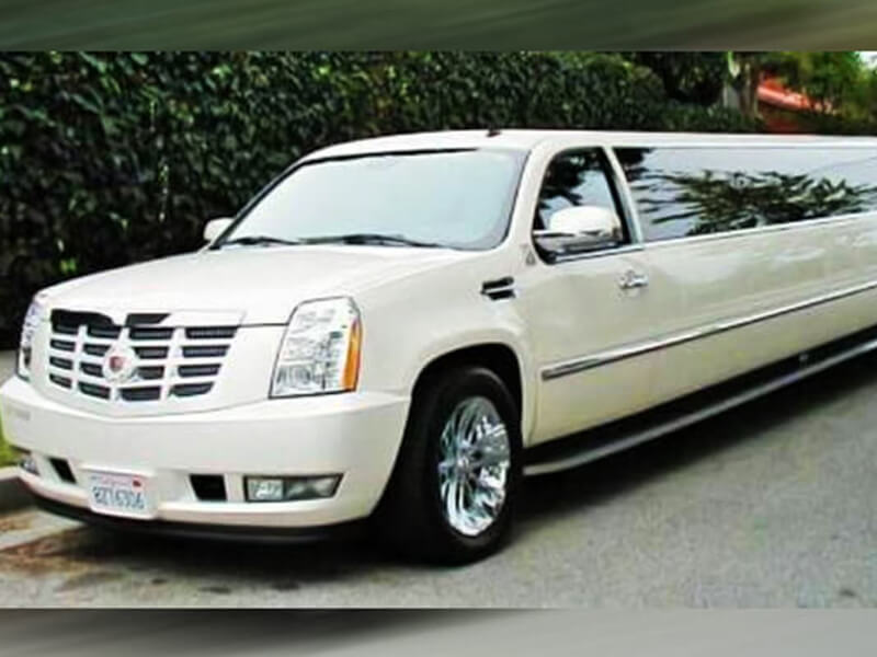 20 Passenger Limo